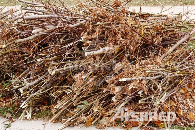 Tree Branches / Garden Waste