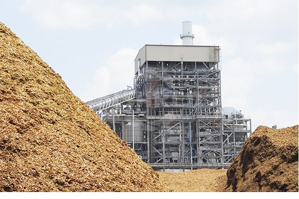 Penembakan Biomassa/Penembakan Co untuk Panas dan Tenaga